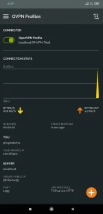 Screenshot_2019-11-29-21-29-32-883_net.openvpn.openvpn.webp