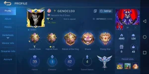Screenshot_20191203_202513_com.mobile.legends.webp