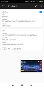 Screenshot_2019-12-04-18-38-42-348_com.wireguard.android.webp