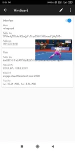 Screenshot_2019-12-04-22-57-00-193_com.wireguard.android.webp