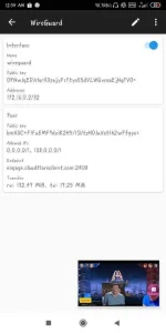 Screenshot_2019-12-05-00-34-29-001_com.wireguard.android.webp