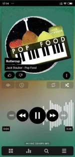 Screenshot_2019-12-05-17-14-37-163_com.maxmpz.audioplayer.webp