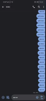 Screenshot_20191208_003357_com.google.android.apps.messaging.webp