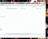 Capture.webp