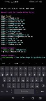 Screenshot_20191208_195250_com.termux.webp