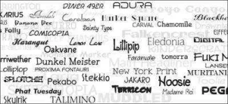 Changing-fonts-in-web-browsers.jpg