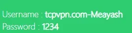 9.webp