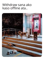1576404955337.webp