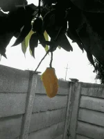 1576499629883.webp