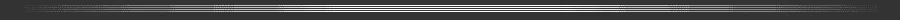 border.webp