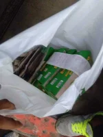 IMG_20191219_060719.webp