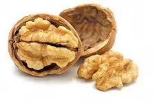 BrainNuts.webp