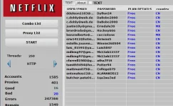 11.webp 11.webp