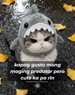 kapag gusto mong maging predator pero cute ka pa rin.webp kapag gusto mong maging predator pero cute ka pa rin.webp