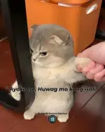 ayoko na huwag mo kong isali.webp ayoko na huwag mo kong isali.webp