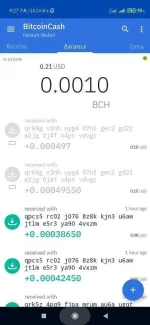 Screenshot_2019-12-29-16-27-57-270_com.coinomi.wallet.jpg