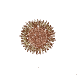 WS2k.gif