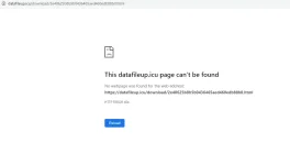 Capture.webp