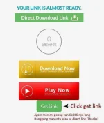 4.webp