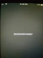 15779763050889032206173365680893.webp