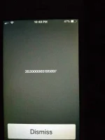 15779764378323224099951786773975.webp