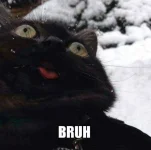 bruh.webp