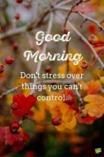 Good-morning-quote-on-picture-with-autumn-landscape-333x500.webp