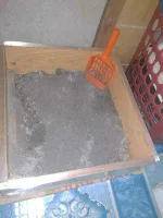 IMG_20200110_090313.webp