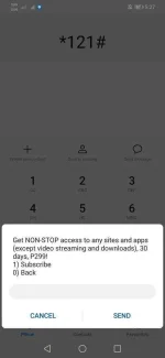 Screenshot_20200112_172719_com.android.phone.webp