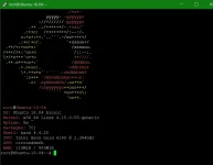 UBUNTU 18 SCRIPT INSTALLED.webp UBUNTU 18 SCRIPT INSTALLED.webp