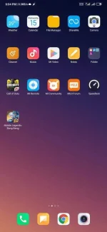 Screenshot_2020-01-15-18-04-41-716_com.miui.home.webp