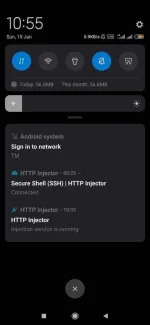 Screenshot_2020-01-19-22-55-50-990_com.evozi.injector.webp