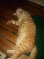 20191230_164405.webp