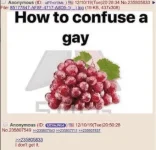 how to confuse a gay.png