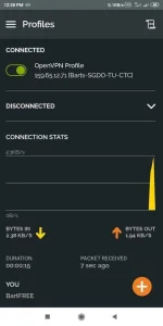 Screenshot_2020-01-22-12-28-11-445_net.openvpn.openvpn.webp