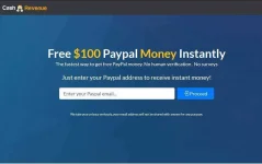 100 dollars.webp