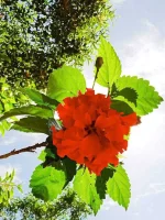 IMG20200127124144.webp