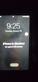 15802177710602091701596401829442.webp