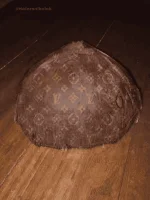 1580990022323.webp