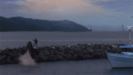 giphy-50.gif