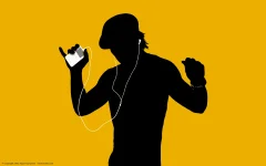 1581334207056.webp