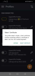 Screenshot_20200211_192743_net.openvpn.openvpn.webp