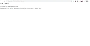 Ads frontend error detail pic.webp