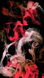 C1424723-EBBD-47C8-8601-F77E95999B46.webp