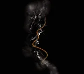 552551C0-1AE6-4E12-A2A3-4A541EEFA011.webp