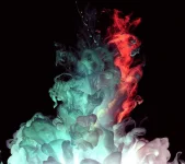8A4E2472-36A6-4AC9-934D-8D6AF1A940CF.webp