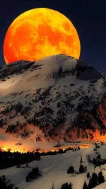 ECCE5672-DD4F-439B-B2E0-E960504DE759.webp