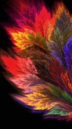 90451A69-4E28-4952-BBAF-9A3F4403EBCD.webp