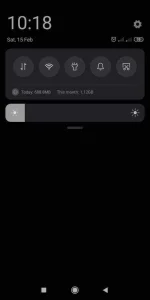 Screenshot_2020-02-15-10-18-27-791_com.miui.home.webp
