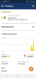 Screenshot_20200216-023414_OpenVPN Connect.webp